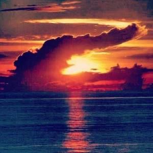 Meet your Posher, Tamara